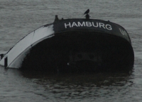 Hamburg hat einen Vogel.jpg