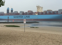 17.08.2015Maersk.jpg