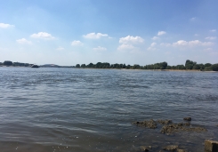 Rhein.jpg