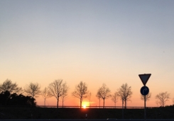 Sonnenuntergang an der Autobahn.jpg