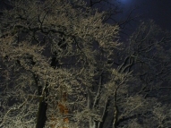 Schnee.Mond.1.2010.jpg