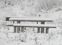 im Harz schneit es.jpg